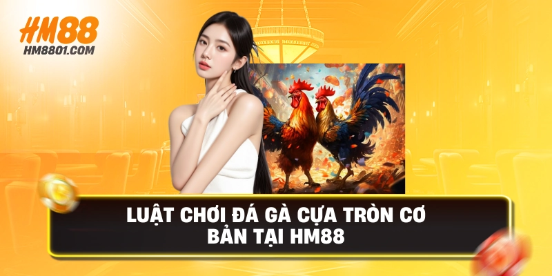Luật chơi đá gà cựa tròn tại hm88